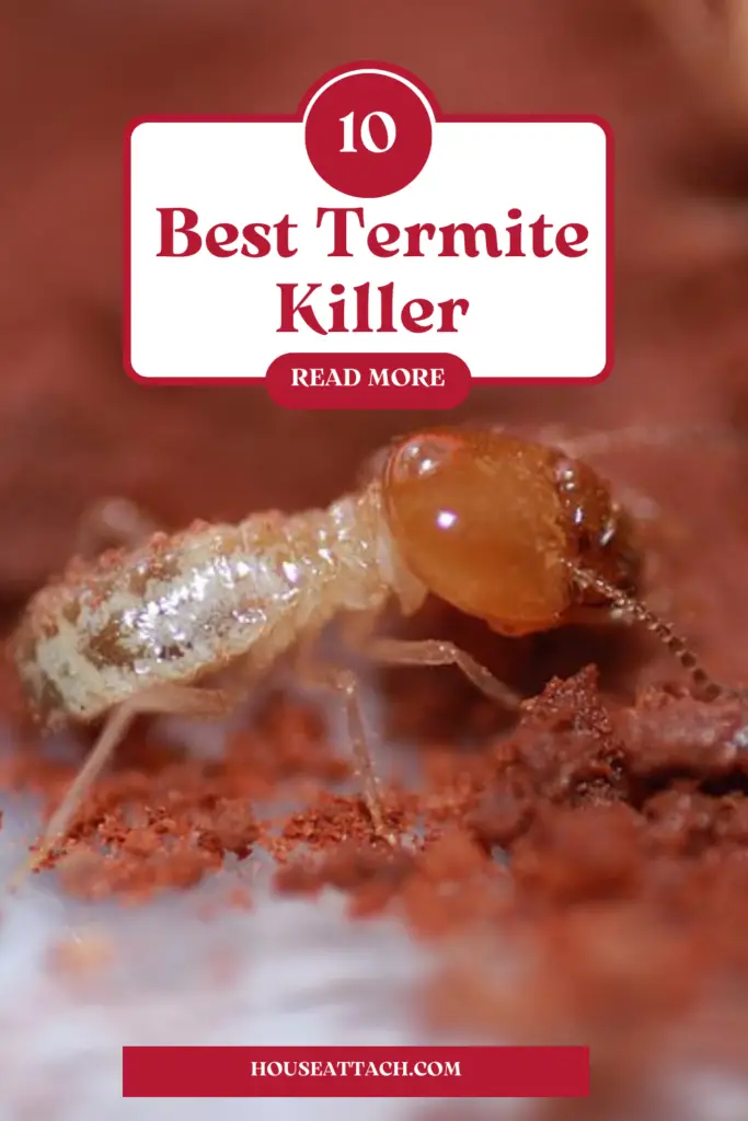 best termite killer