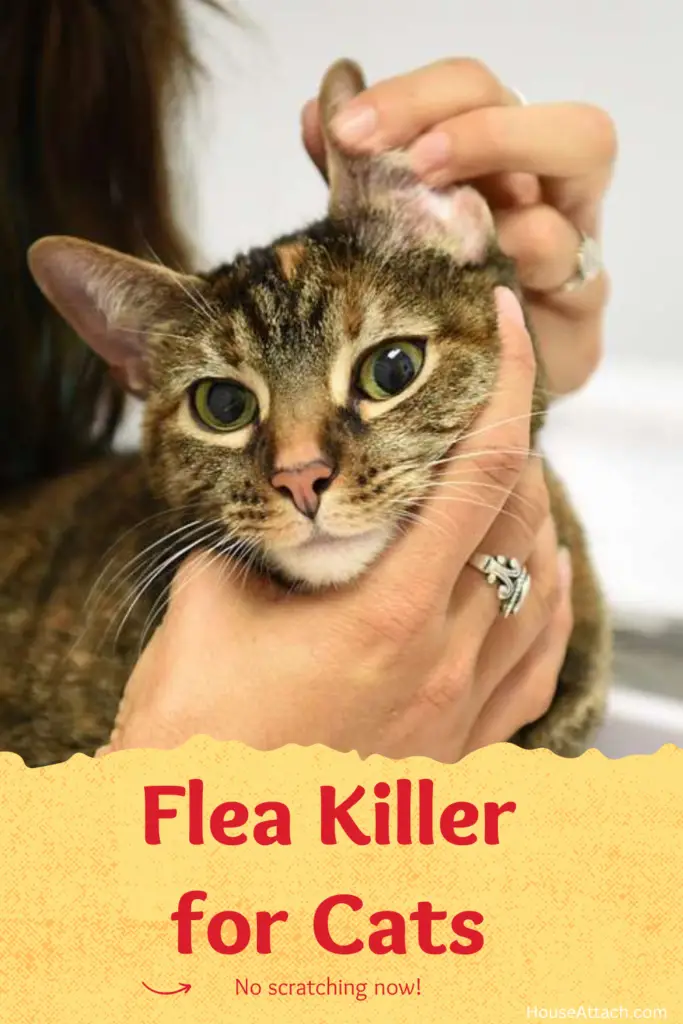 flea killer for cats