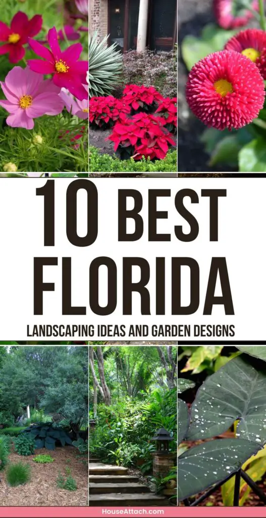 florida landscaping ideas 1 1