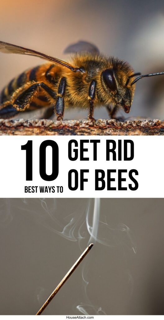 get rid of bees