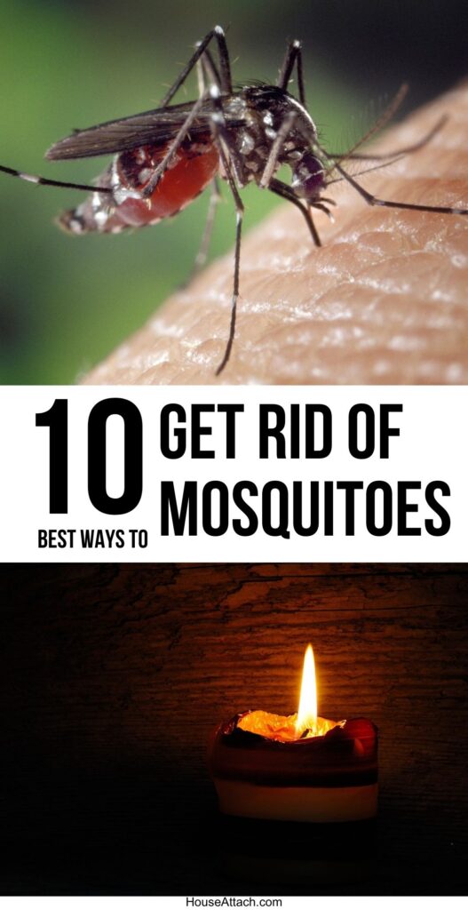 get rid of mosquitoes