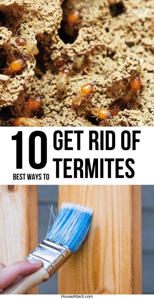 get rid of termites