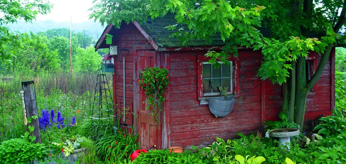 green plant and shed