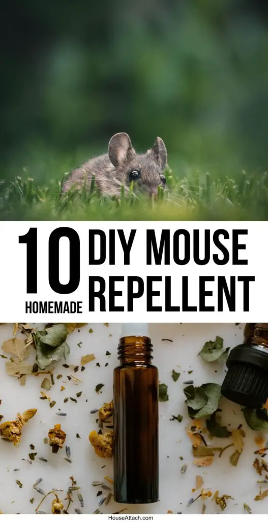 mouse repellent DIY ideas 1