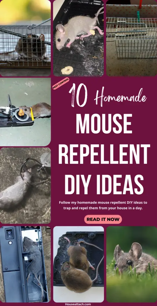mouse repellent diy ideas