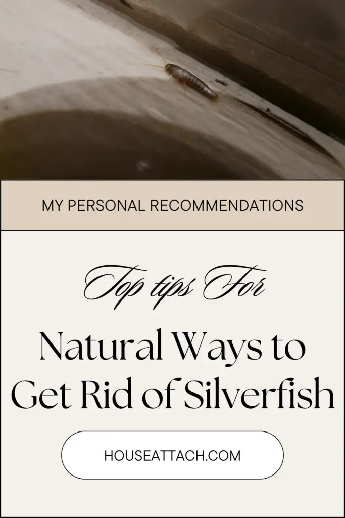 natural ways to get rid of silverfish