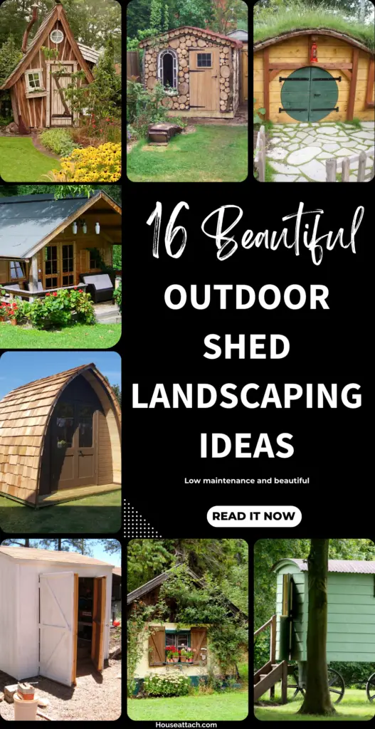 outdoor Shed landscaping ideas 1