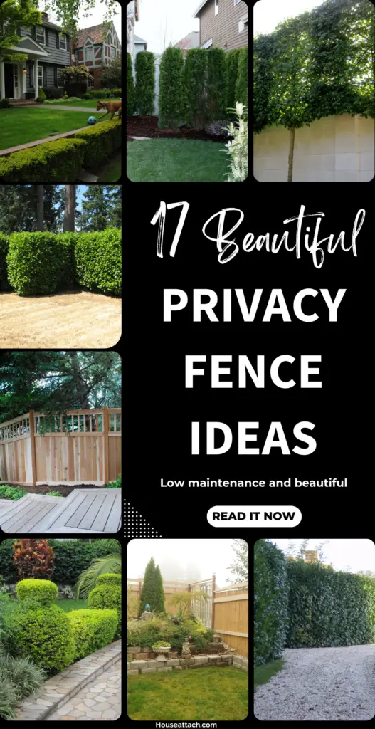 privacy landscaping and fence ideas 1