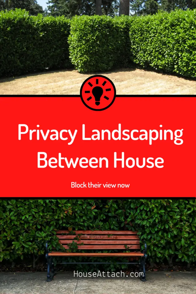privacy landscaping between house