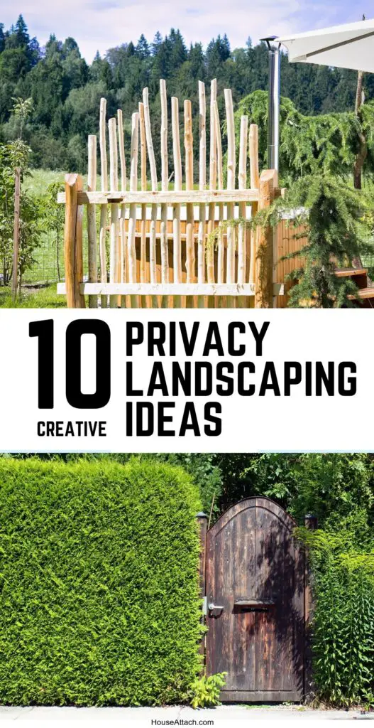 privacy landscaping ideas 1