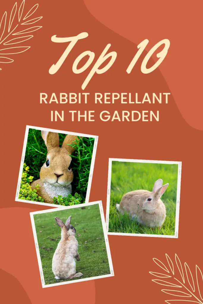 rabbit repellant in the garden