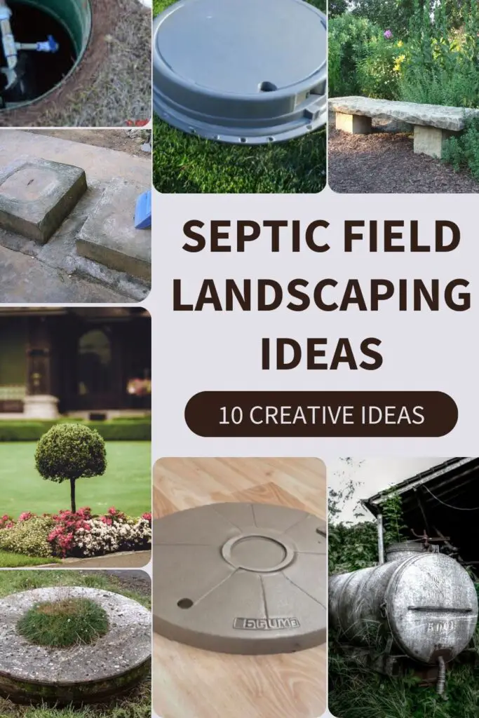 septic field landscaping ideas 2 1