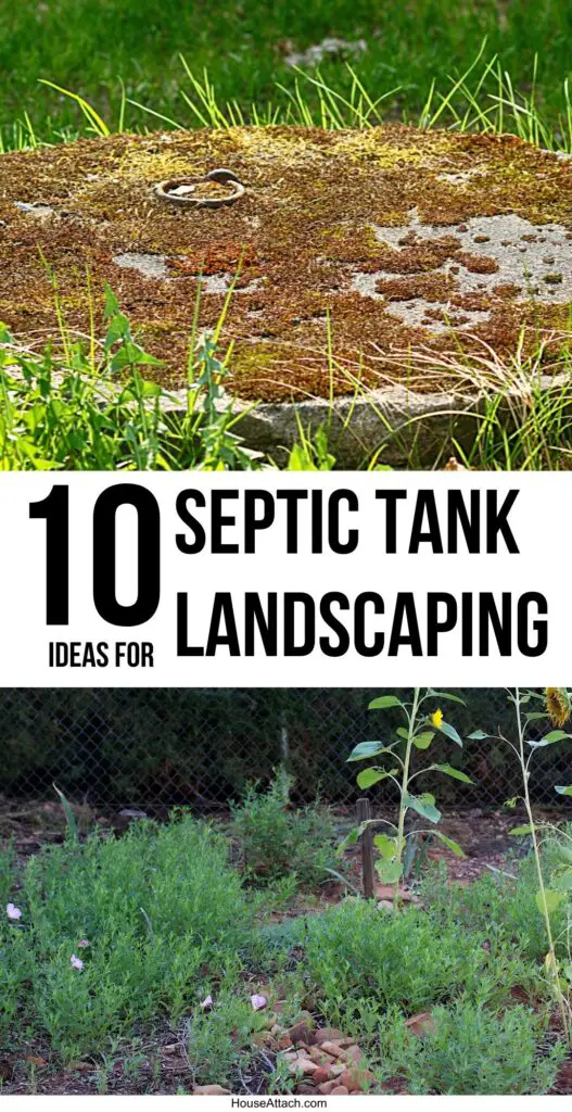 septic tank landscaping