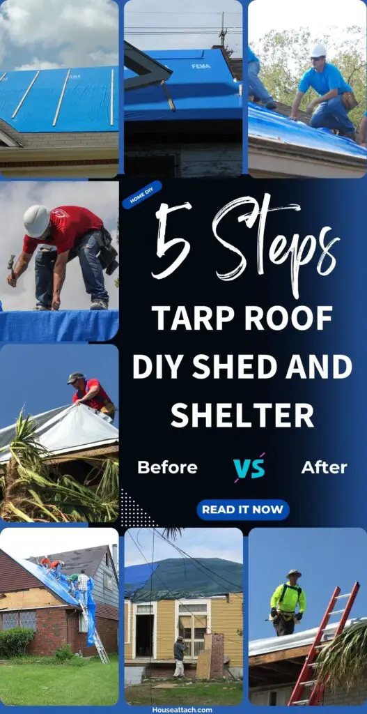 tarp roof DIY shed and Shelter