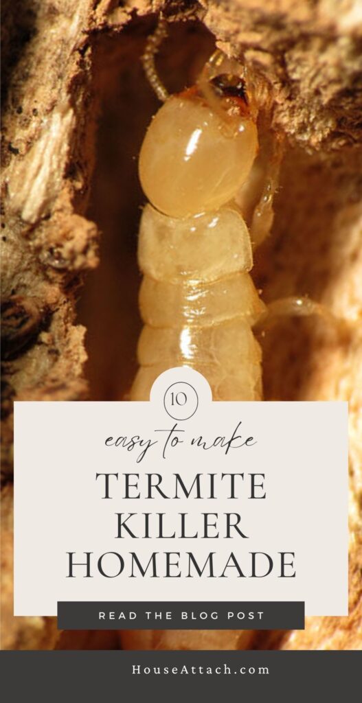 termite killer homemade