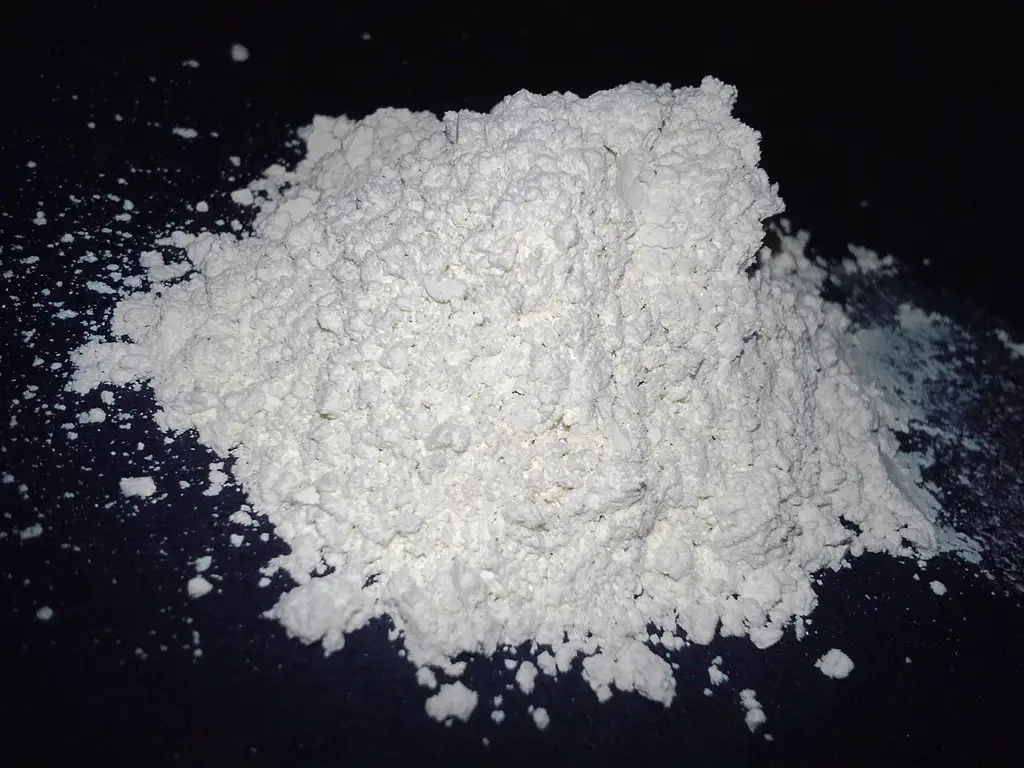 1024px Diatomaceous Earth 1