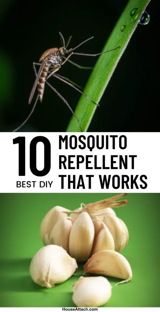 Mosquito Repellent that Works