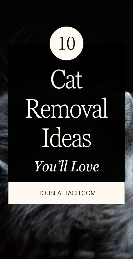 cat removal ideas