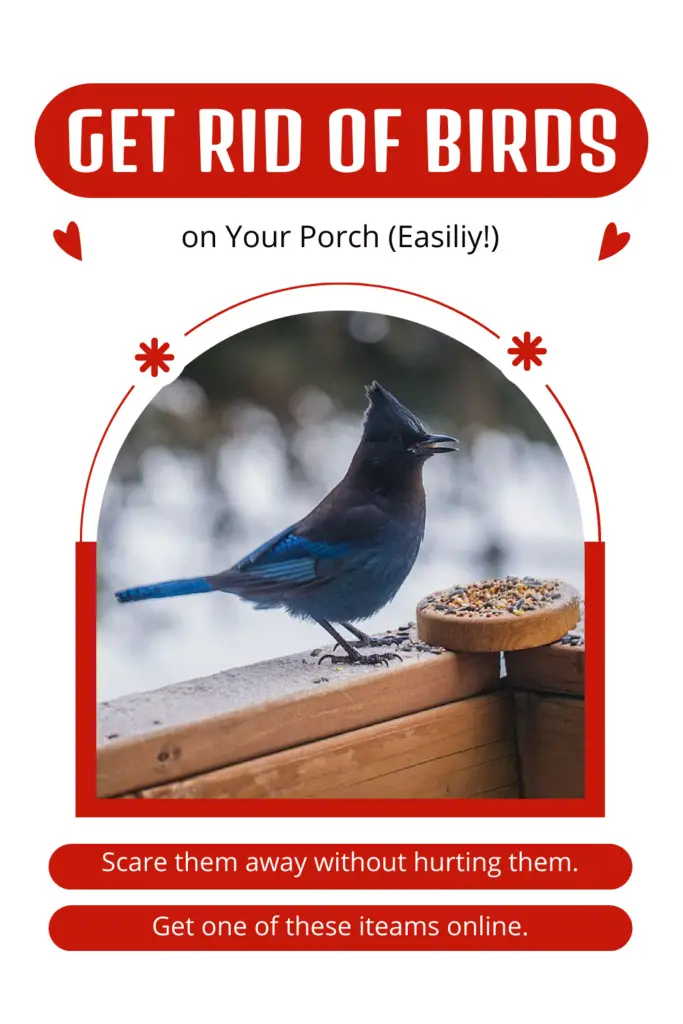 get rid of birds on porch