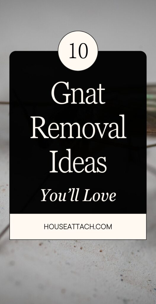 gnat removal ideas