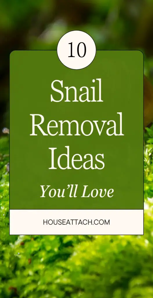 snail removal ideas