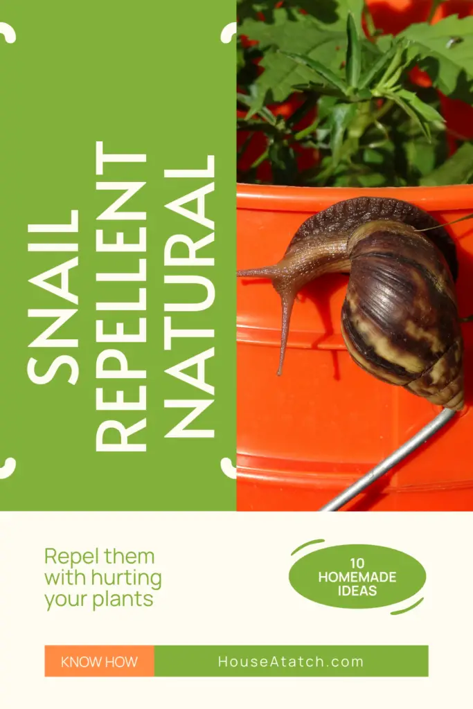 snail repellent natural