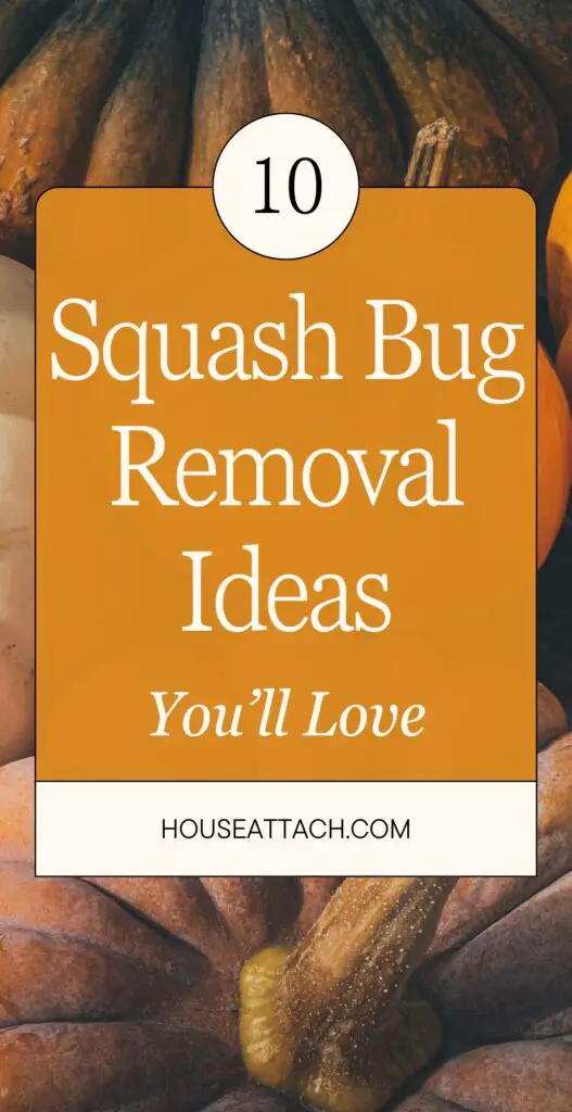 squash bug removal ideas