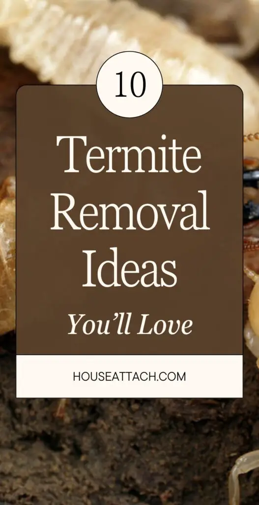 termite removal ideas