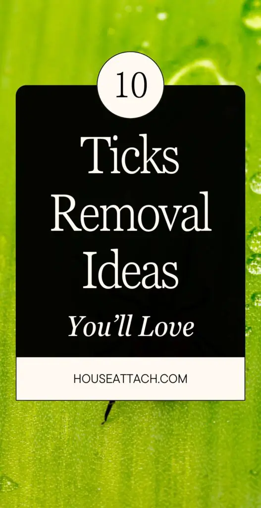 ticks removal ideas