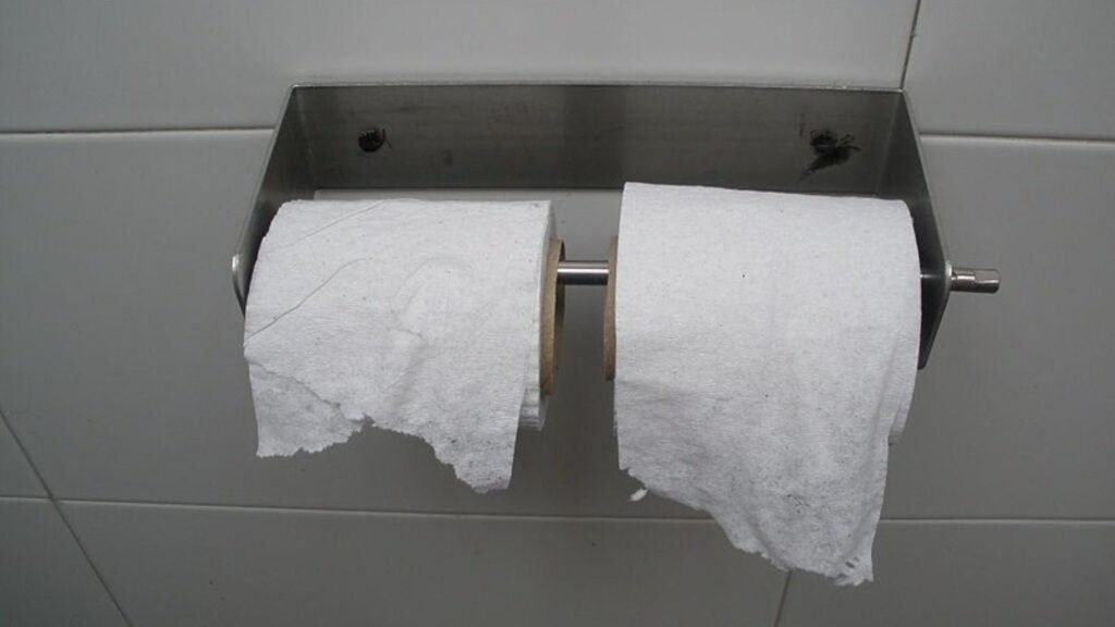 A Simple Steel Made Double Toiler Paper Holder