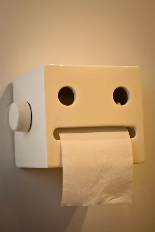 toilet paper face