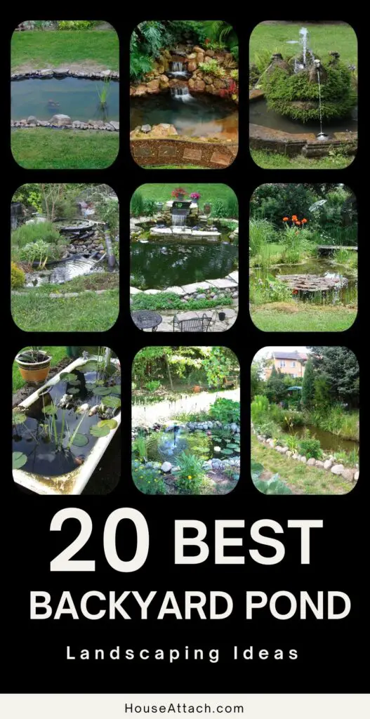 backyard pond landscaping ideas