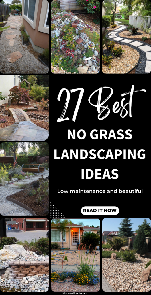 No Grass landscaping ideas