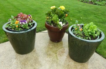 flowers pots patio