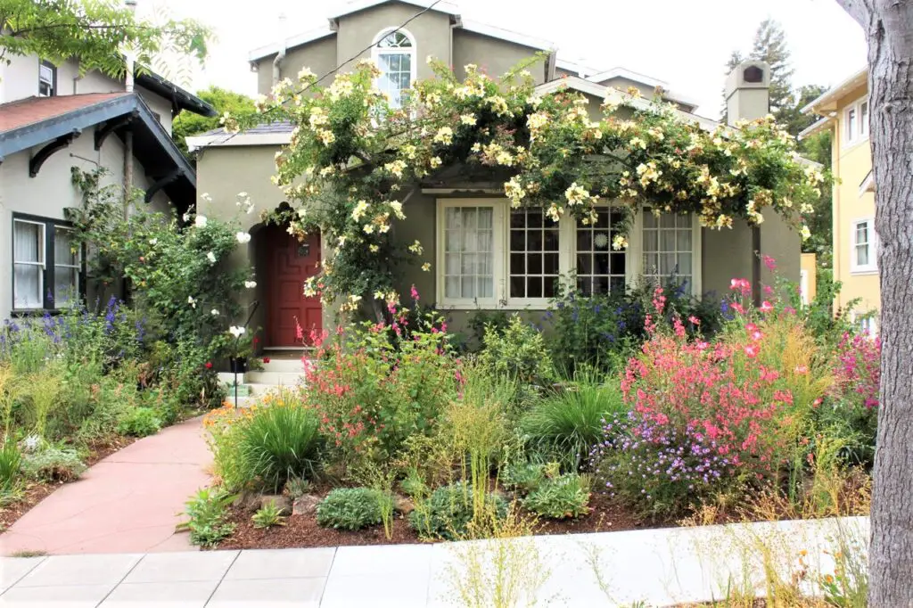 front house garden