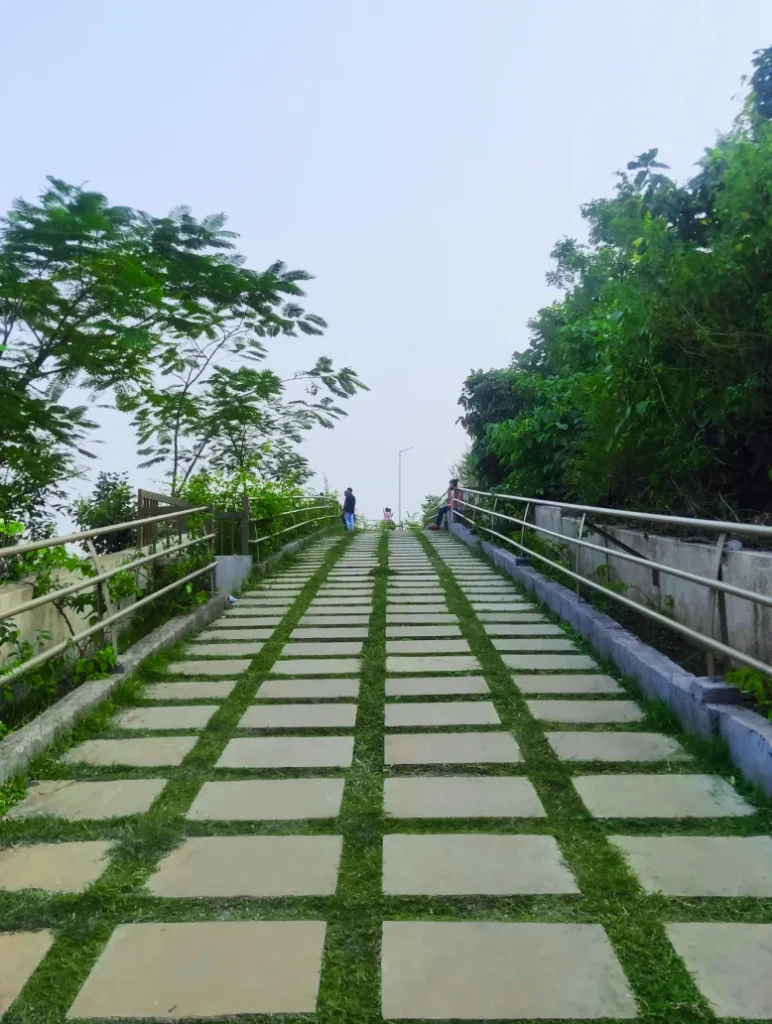 A walkway bridge in a garden