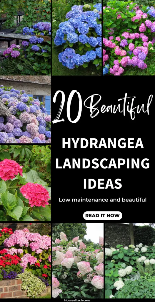 Hydrangea landscaping ideas 3