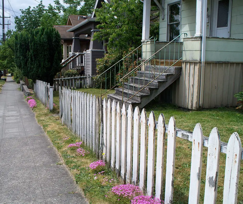 Picket Fence