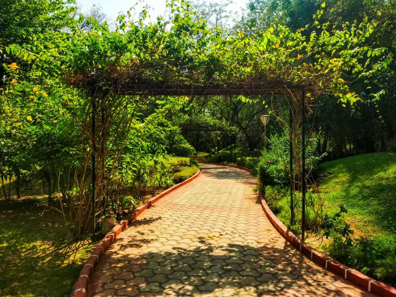 Walkway of the garden