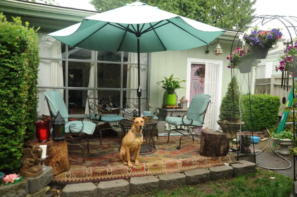 backyard patio