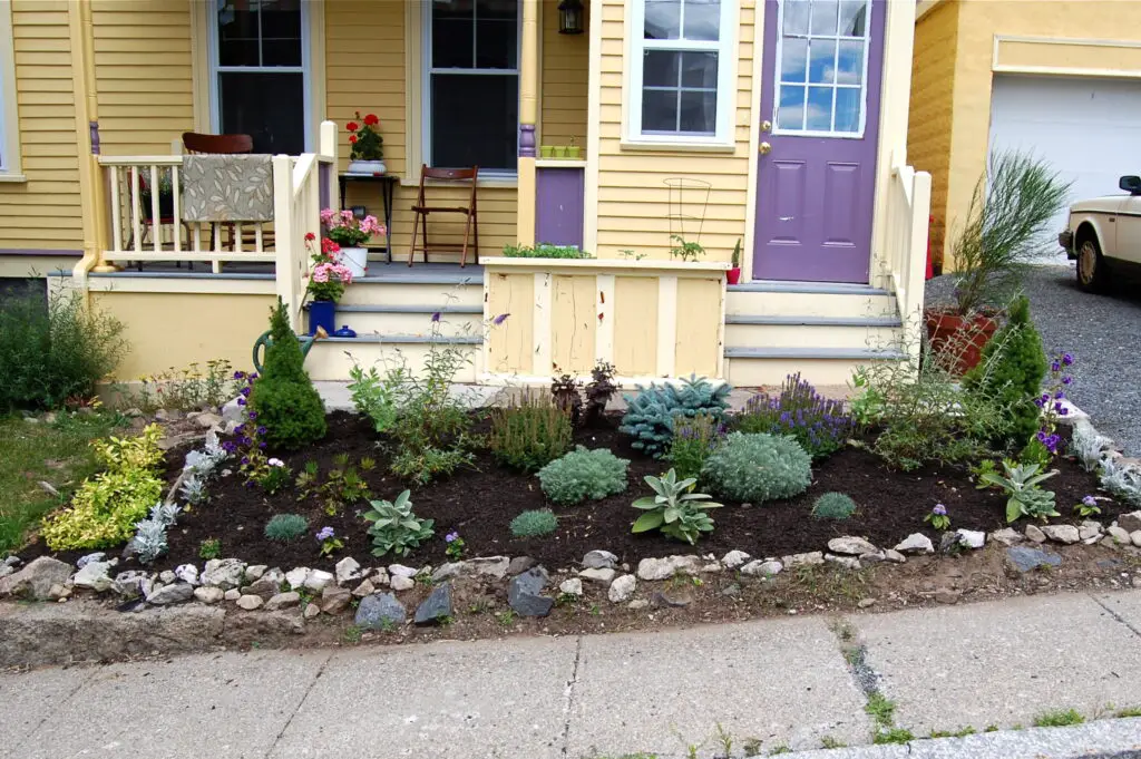 black mulch garden