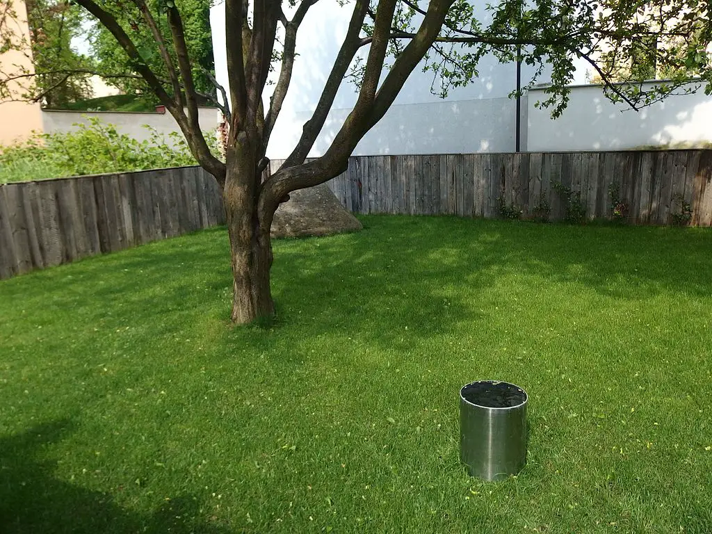 clean yard