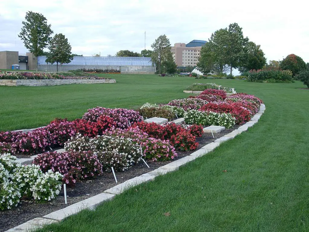 floer garden bed and edging