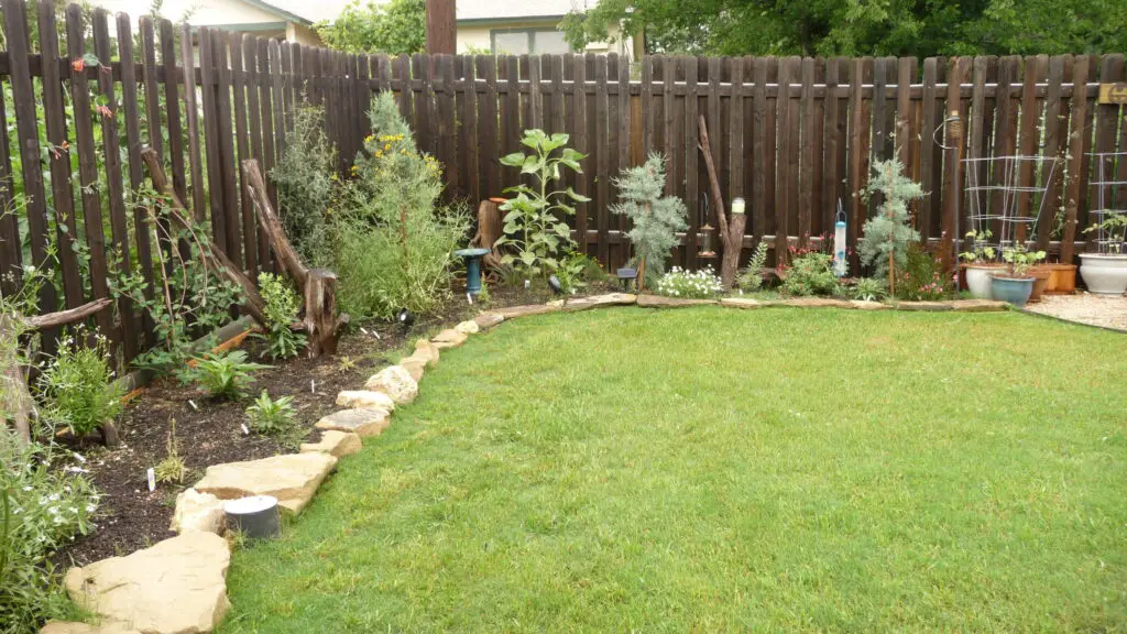 landscaping along fence