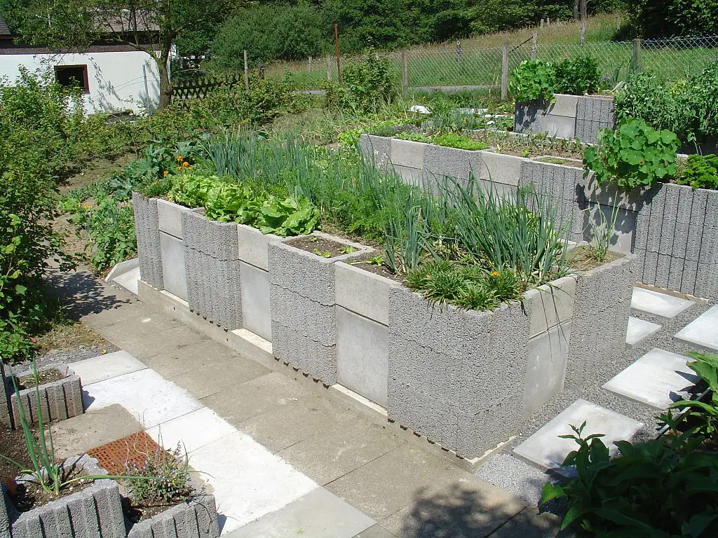 rasied bed garden