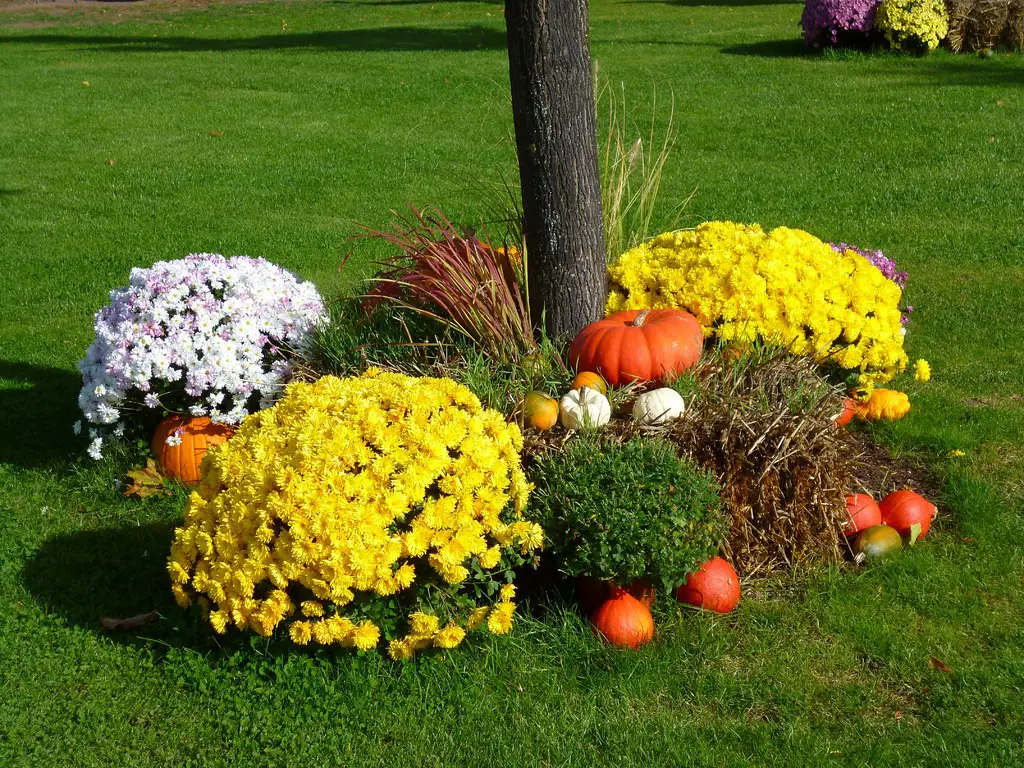 tree garden