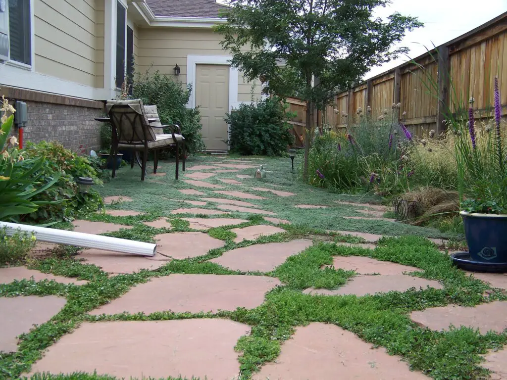 backyard walkway