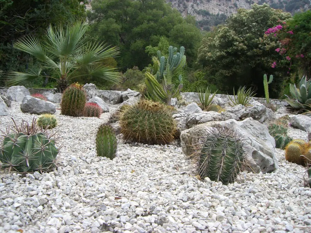 desert pebble art