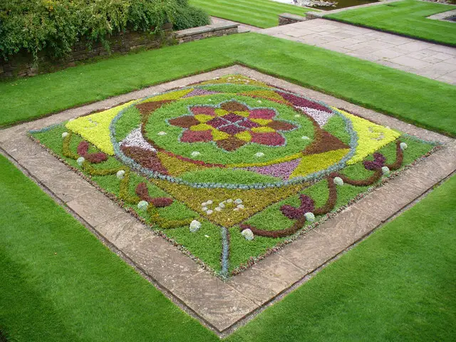 floral carpet