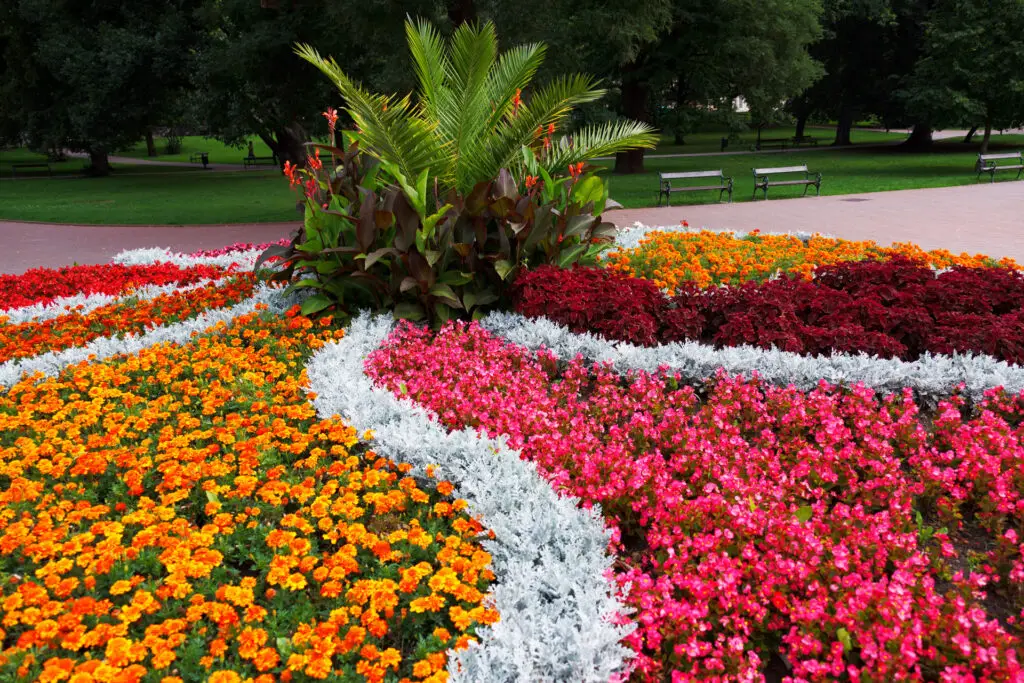 flower bed in park